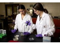 HACCP Audit
